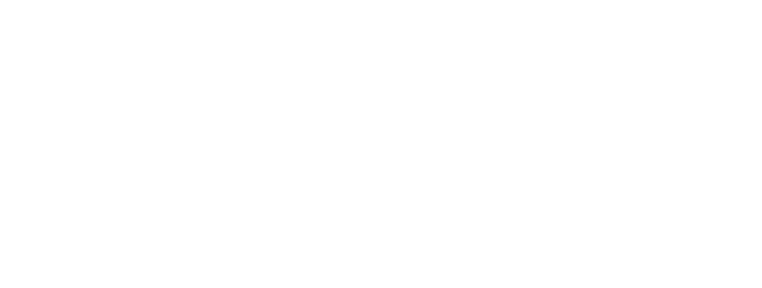 Chiesi Logo