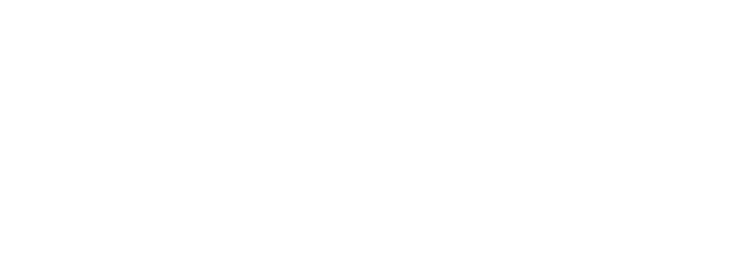 Nami logo