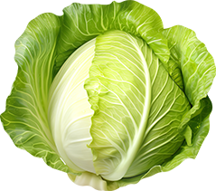 AdobeStock_696472798